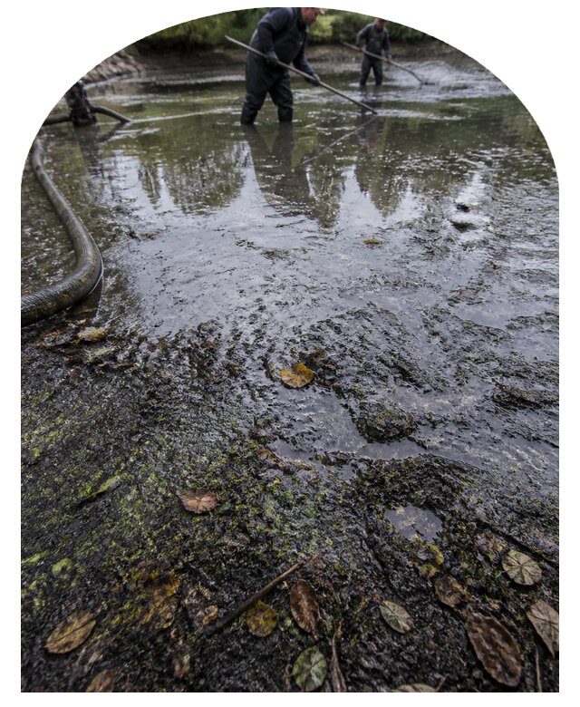 Очистка пруда в Волгодонске от ила мусора и водорослей с вывозом